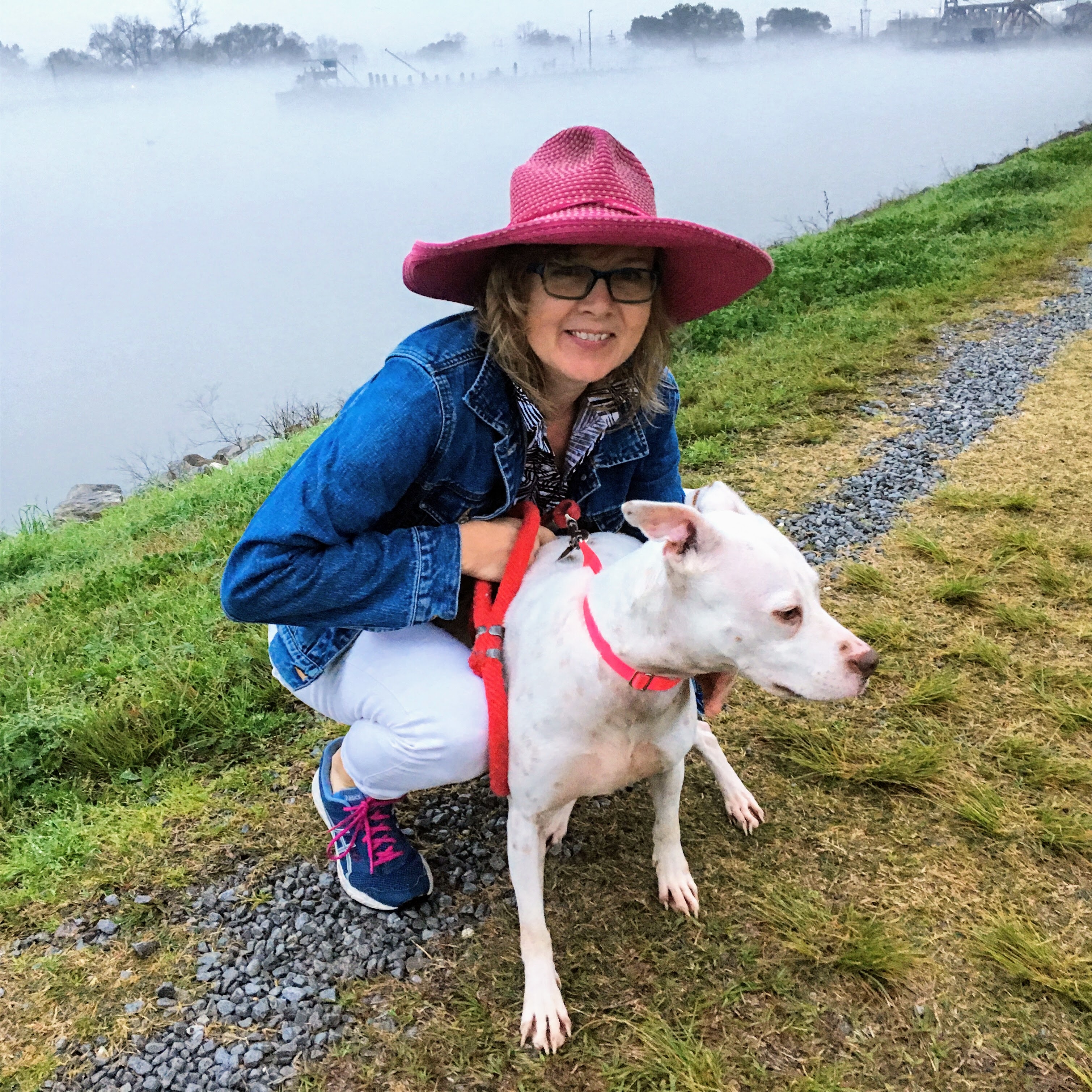 Morning fog on the Industrial Canal