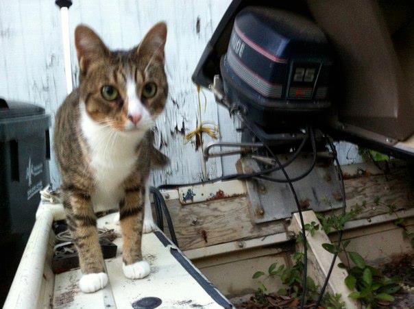 Sally on a boat in the yard