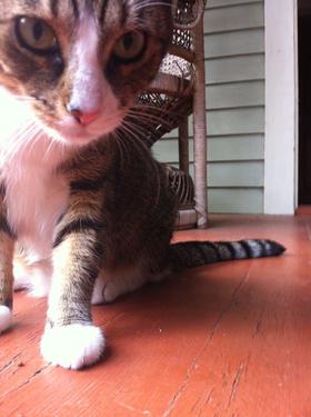 Sally on the porch at Orchid Street.