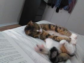 Sally stretched on the bed.