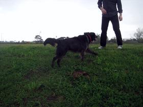 Walked on the levee with Rosa.