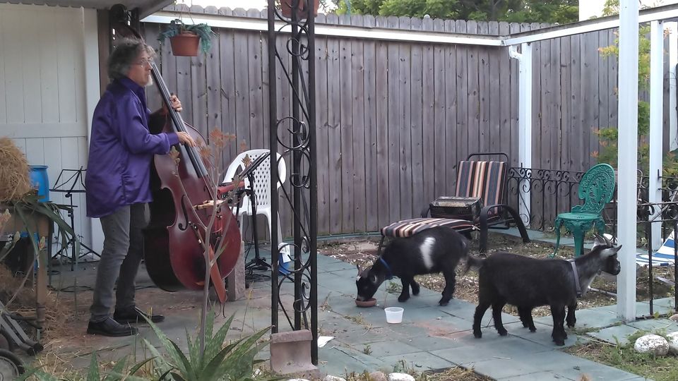 Stoo Odom and Allison Lovejoy perform.