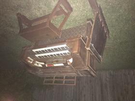 Found a free organ.